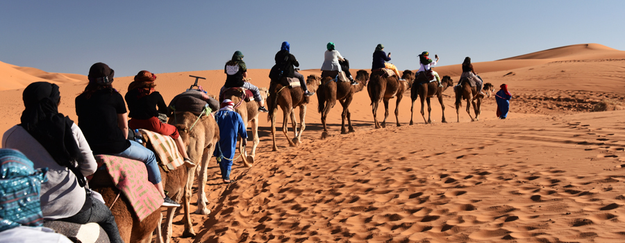 1 noche camellos Merzouga Excursión