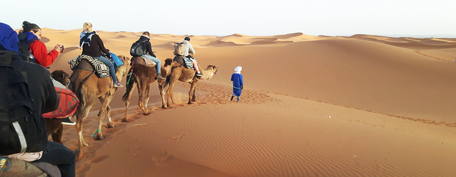  Excursiones de un dias desde Fes