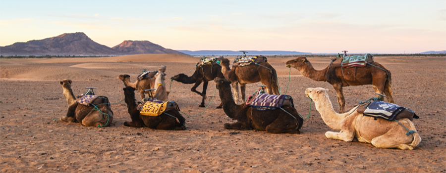 2-dias Marrakech a Zagora