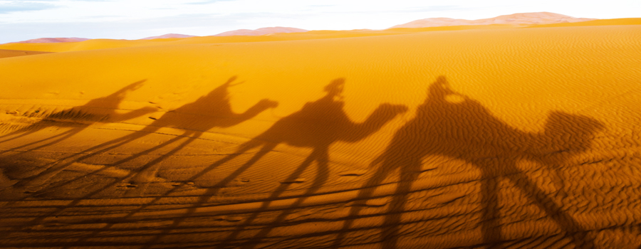 Excursiones camello merzouga rutas Viajes