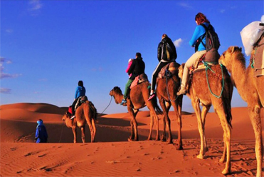 Paseo Camello en al desierto Marruecos